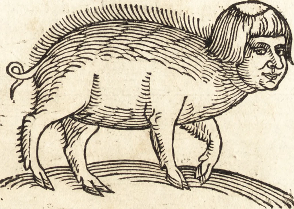 An illustration from Prodigiorvm ac ostentorvm chronicon : quae praeter naturae ordinem, motum, et operationem, et in svperioribus & his inferioribus mundi regionibus, ab exordio mundi usque ad haec nostra tempora, acciderunt ..., 1557, leaf 540