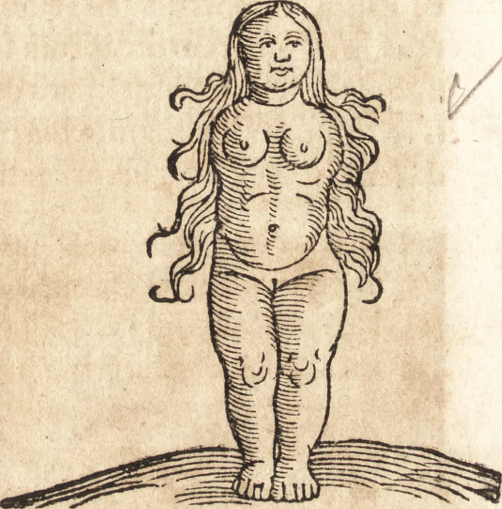 An illustration from Prodigiorvm ac ostentorvm chronicon : quae praeter naturae ordinem, motum, et operationem, et in svperioribus & his inferioribus mundi regionibus, ab exordio mundi usque ad haec nostra tempora, acciderunt ..., 1557, leaf 547