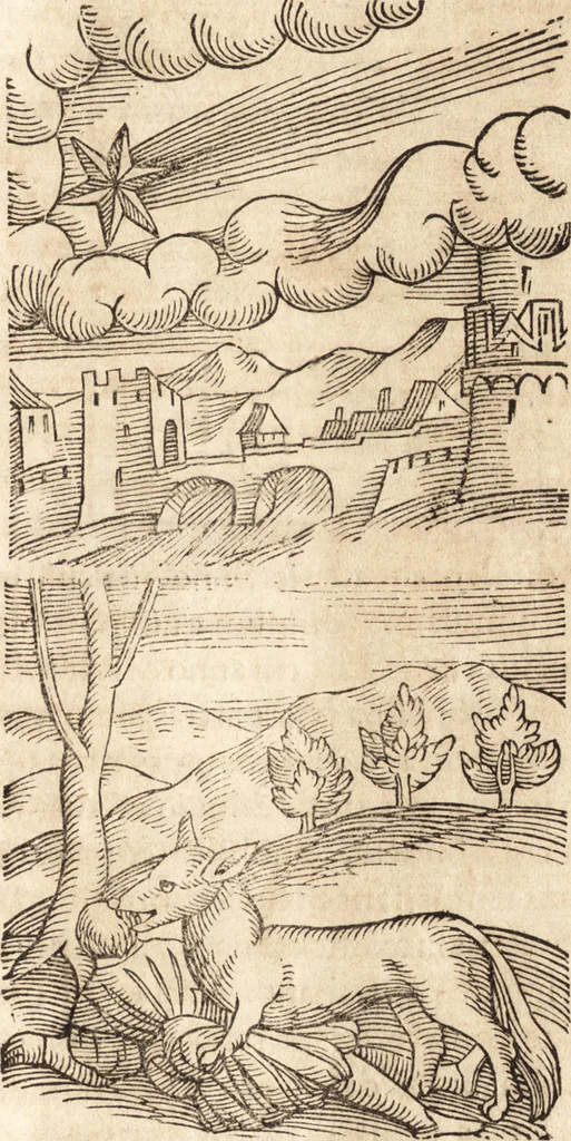 An illustration from Prodigiorvm ac ostentorvm chronicon : quae praeter naturae ordinem, motum, et operationem, et in svperioribus & his inferioribus mundi regionibus, ab exordio mundi usque ad haec nostra tempora, acciderunt ..., 1557, leaf 550