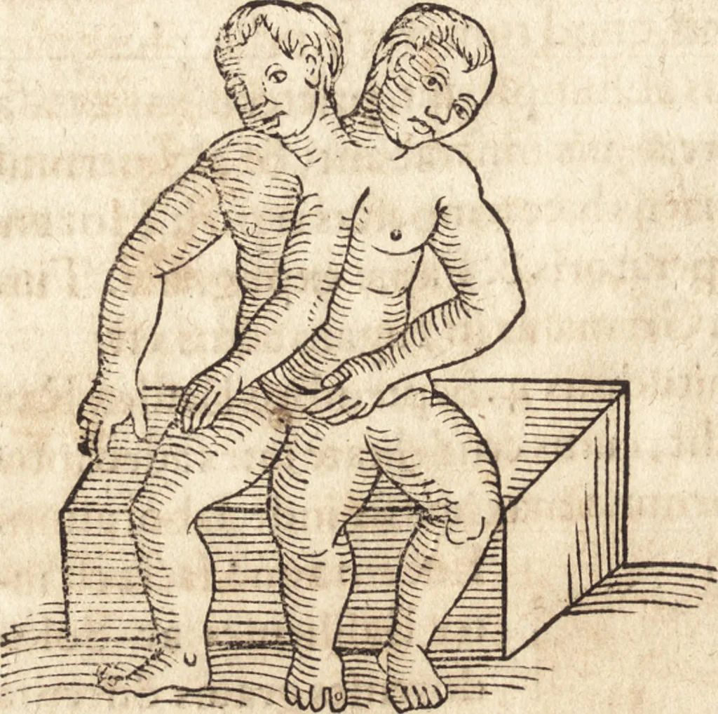 An illustration from Prodigiorvm ac ostentorvm chronicon : quae praeter naturae ordinem, motum, et operationem, et in svperioribus & his inferioribus mundi regionibus, ab exordio mundi usque ad haec nostra tempora, acciderunt ..., 1557, leaf 553