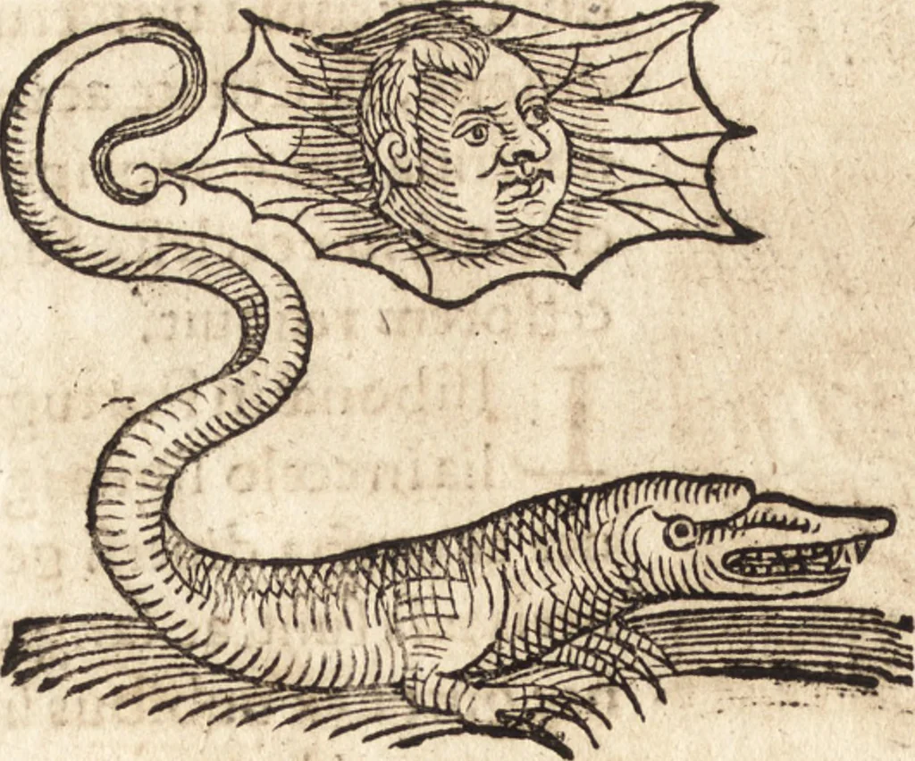 An illustration from Prodigiorvm ac ostentorvm chronicon : quae praeter naturae ordinem, motum, et operationem, et in svperioribus & his inferioribus mundi regionibus, ab exordio mundi usque ad haec nostra tempora, acciderunt ..., 1557, leaf 553