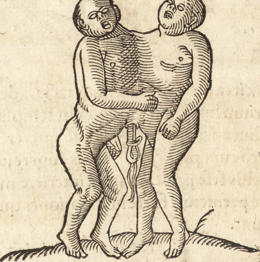 An illustration from Prodigiorvm ac ostentorvm chronicon : quae praeter naturae ordinem, motum, et operationem, et in svperioribus & his inferioribus mundi regionibus, ab exordio mundi usque ad haec nostra tempora, acciderunt ..., 1557, leaf 565