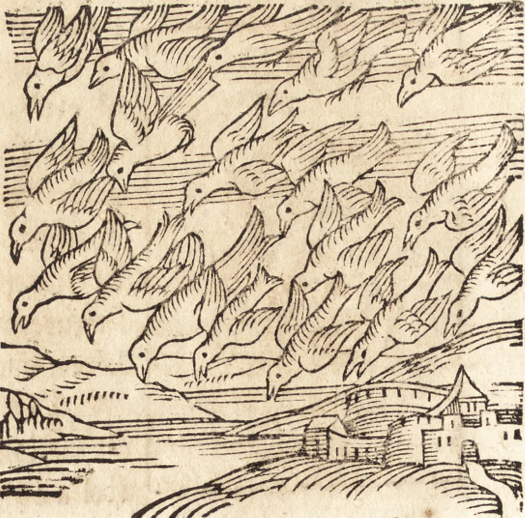 An illustration from Prodigiorvm ac ostentorvm chronicon : quae praeter naturae ordinem, motum, et operationem, et in svperioribus & his inferioribus mundi regionibus, ab exordio mundi usque ad haec nostra tempora, acciderunt ..., 1557, leaf 567
