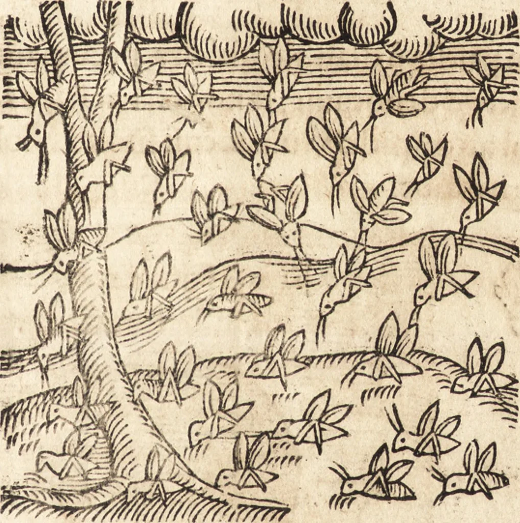 An illustration from Prodigiorvm ac ostentorvm chronicon : quae praeter naturae ordinem, motum, et operationem, et in svperioribus & his inferioribus mundi regionibus, ab exordio mundi usque ad haec nostra tempora, acciderunt ..., 1557, leaf 570