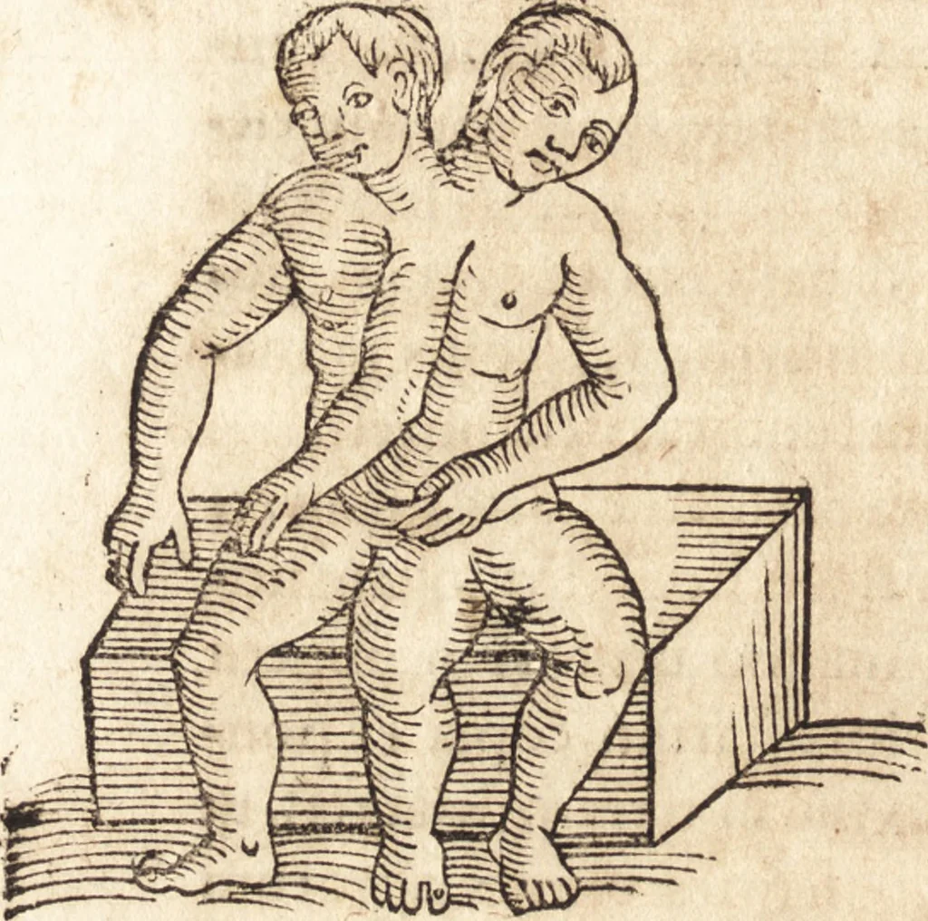 An illustration from Prodigiorvm ac ostentorvm chronicon : quae praeter naturae ordinem, motum, et operationem, et in svperioribus & his inferioribus mundi regionibus, ab exordio mundi usque ad haec nostra tempora, acciderunt ..., 1557, leaf 571