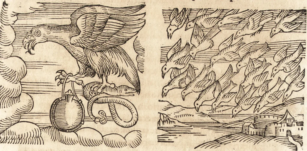 An illustration from Prodigiorvm ac ostentorvm chronicon : quae praeter naturae ordinem, motum, et operationem, et in svperioribus & his inferioribus mundi regionibus, ab exordio mundi usque ad haec nostra tempora, acciderunt ..., 1557, leaf 572