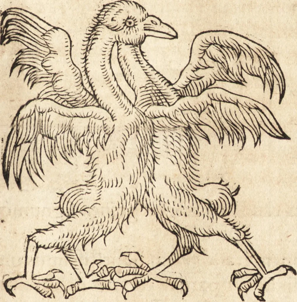 An illustration from Prodigiorvm ac ostentorvm chronicon : quae praeter naturae ordinem, motum, et operationem, et in svperioribus & his inferioribus mundi regionibus, ab exordio mundi usque ad haec nostra tempora, acciderunt ..., 1557, leaf 576