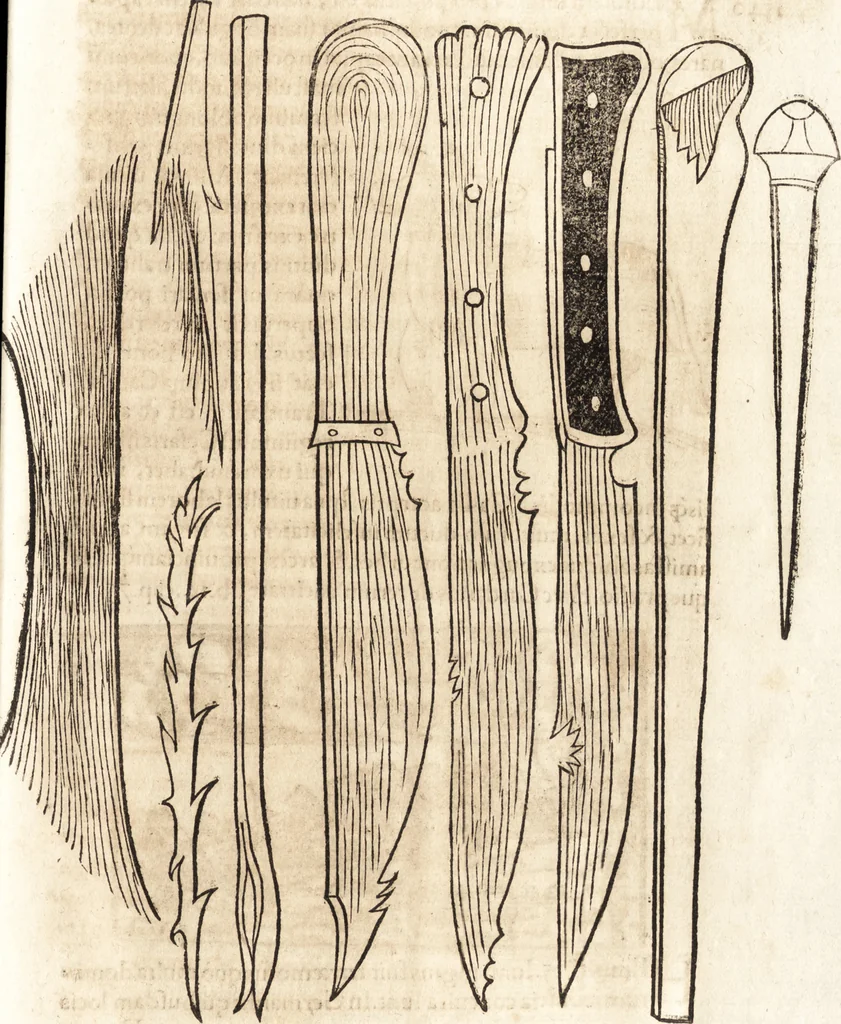 An illustration from Prodigiorvm ac ostentorvm chronicon : quae praeter naturae ordinem, motum, et operationem, et in svperioribus & his inferioribus mundi regionibus, ab exordio mundi usque ad haec nostra tempora, acciderunt ..., 1557, leaf 582