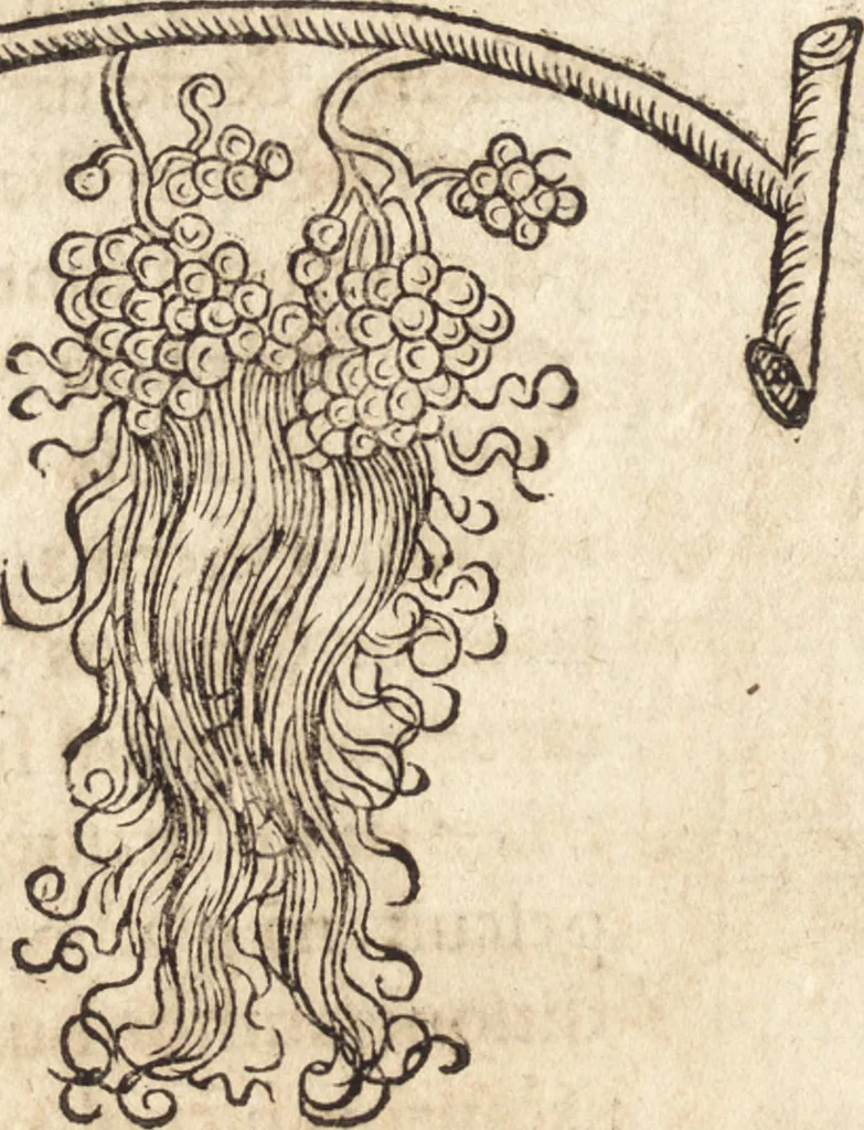 An illustration from Prodigiorvm ac ostentorvm chronicon : quae praeter naturae ordinem, motum, et operationem, et in svperioribus & his inferioribus mundi regionibus, ab exordio mundi usque ad haec nostra tempora, acciderunt ..., 1557, leaf 587