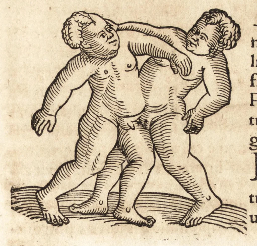 An illustration from Prodigiorvm ac ostentorvm chronicon : quae praeter naturae ordinem, motum, et operationem, et in svperioribus & his inferioribus mundi regionibus, ab exordio mundi usque ad haec nostra tempora, acciderunt ..., 1557, leaf 588
