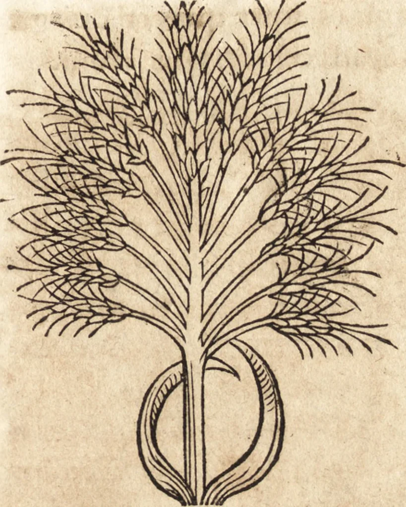 An illustration from Prodigiorvm ac ostentorvm chronicon : quae praeter naturae ordinem, motum, et operationem, et in svperioribus & his inferioribus mundi regionibus, ab exordio mundi usque ad haec nostra tempora, acciderunt ..., 1557, leaf 588