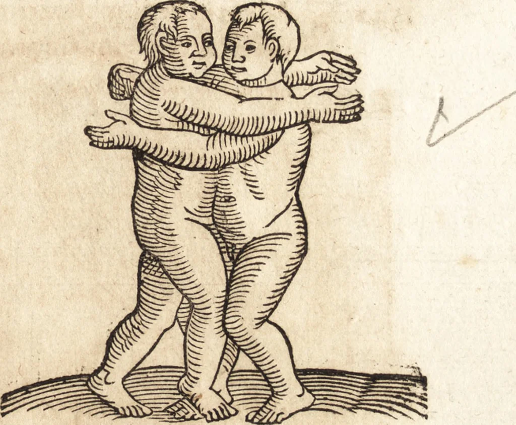 An illustration from Prodigiorvm ac ostentorvm chronicon : quae praeter naturae ordinem, motum, et operationem, et in svperioribus & his inferioribus mundi regionibus, ab exordio mundi usque ad haec nostra tempora, acciderunt ..., 1557, leaf 588