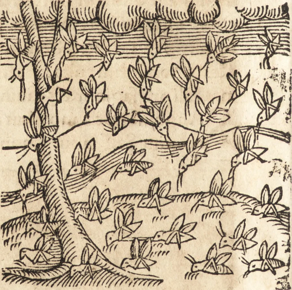 An illustration from Prodigiorvm ac ostentorvm chronicon : quae praeter naturae ordinem, motum, et operationem, et in svperioribus & his inferioribus mundi regionibus, ab exordio mundi usque ad haec nostra tempora, acciderunt ..., 1557, leaf 591