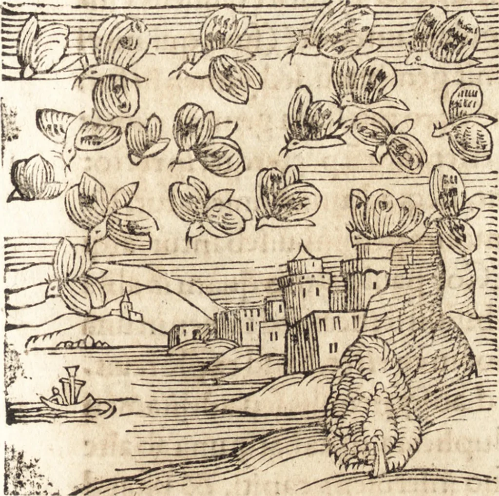 An illustration from Prodigiorvm ac ostentorvm chronicon : quae praeter naturae ordinem, motum, et operationem, et in svperioribus & his inferioribus mundi regionibus, ab exordio mundi usque ad haec nostra tempora, acciderunt ..., 1557, leaf 594