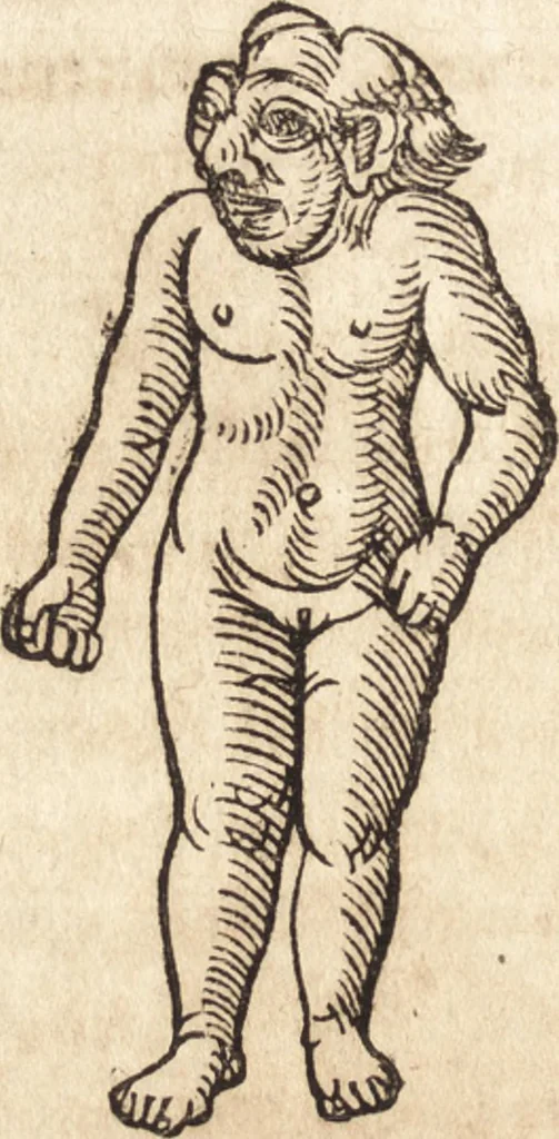 An illustration from Prodigiorvm ac ostentorvm chronicon : quae praeter naturae ordinem, motum, et operationem, et in svperioribus & his inferioribus mundi regionibus, ab exordio mundi usque ad haec nostra tempora, acciderunt ..., 1557, leaf 597