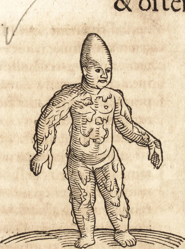 An illustration from Prodigiorvm ac ostentorvm chronicon : quae praeter naturae ordinem, motum, et operationem, et in svperioribus & his inferioribus mundi regionibus, ab exordio mundi usque ad haec nostra tempora, acciderunt ..., 1557, leaf 598