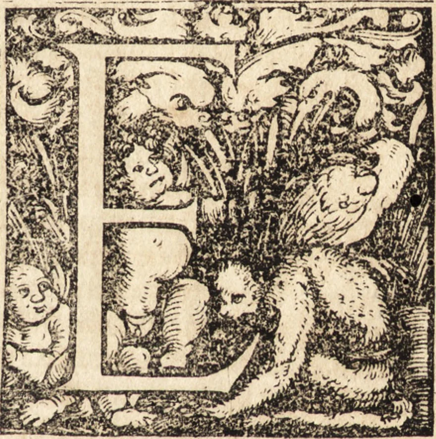 An illustration from Prodigiorvm ac ostentorvm chronicon : quae praeter naturae ordinem, motum, et operationem, et in svperioribus & his inferioribus mundi regionibus, ab exordio mundi usque ad haec nostra tempora, acciderunt ..., 1557, leaf 6