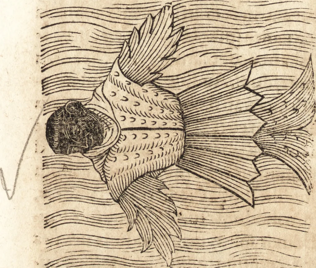 An illustration from Prodigiorvm ac ostentorvm chronicon : quae praeter naturae ordinem, motum, et operationem, et in svperioribus & his inferioribus mundi regionibus, ab exordio mundi usque ad haec nostra tempora, acciderunt ..., 1557, leaf 602