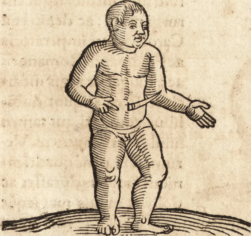 An illustration from Prodigiorvm ac ostentorvm chronicon : quae praeter naturae ordinem, motum, et operationem, et in svperioribus & his inferioribus mundi regionibus, ab exordio mundi usque ad haec nostra tempora, acciderunt ..., 1557, leaf 602