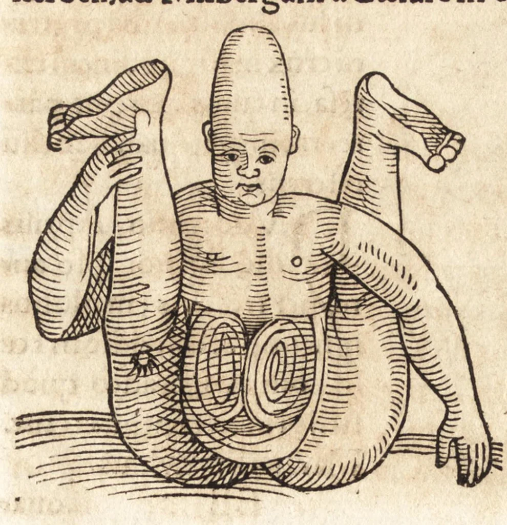 An illustration from Prodigiorvm ac ostentorvm chronicon : quae praeter naturae ordinem, motum, et operationem, et in svperioribus & his inferioribus mundi regionibus, ab exordio mundi usque ad haec nostra tempora, acciderunt ..., 1557, leaf 607