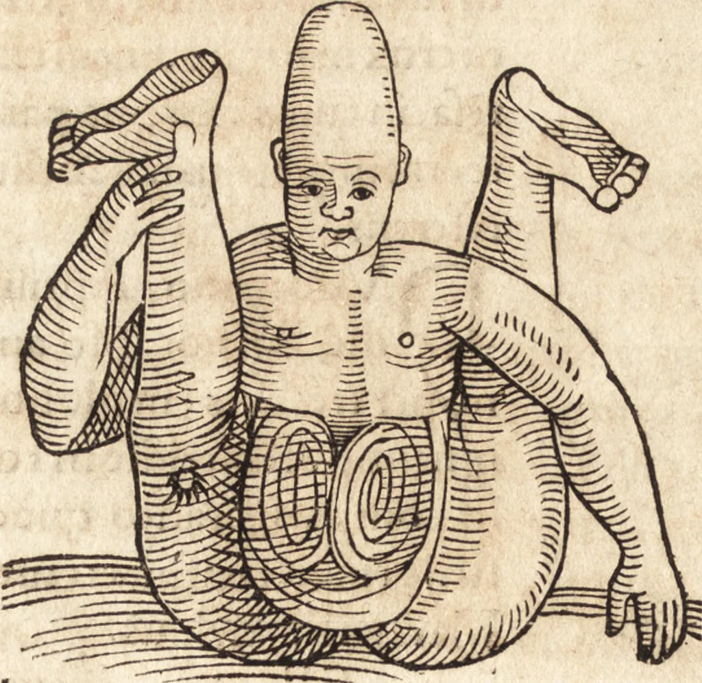 An illustration from Prodigiorvm ac ostentorvm chronicon : quae praeter naturae ordinem, motum, et operationem, et in svperioribus & his inferioribus mundi regionibus, ab exordio mundi usque ad haec nostra tempora, acciderunt ..., 1557, leaf 607