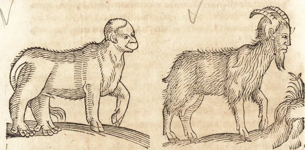 An illustration from Prodigiorvm ac ostentorvm chronicon : quae praeter naturae ordinem, motum, et operationem, et in svperioribus & his inferioribus mundi regionibus, ab exordio mundi usque ad haec nostra tempora, acciderunt ..., 1557, leaf 609