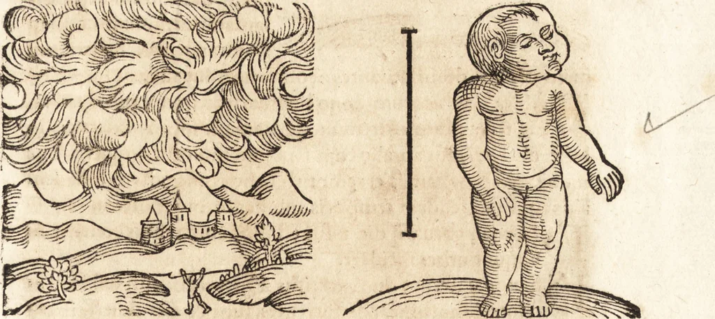 An illustration from Prodigiorvm ac ostentorvm chronicon : quae praeter naturae ordinem, motum, et operationem, et in svperioribus & his inferioribus mundi regionibus, ab exordio mundi usque ad haec nostra tempora, acciderunt ..., 1557, leaf 610