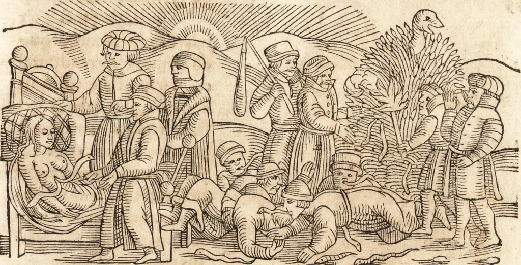 An illustration from Prodigiorvm ac ostentorvm chronicon : quae praeter naturae ordinem, motum, et operationem, et in svperioribus & his inferioribus mundi regionibus, ab exordio mundi usque ad haec nostra tempora, acciderunt ..., 1557, leaf 614