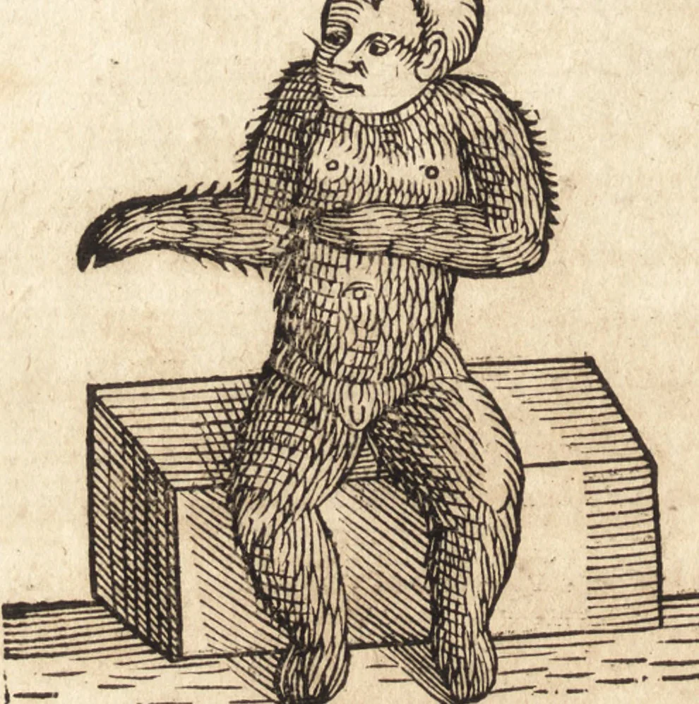 An illustration from Prodigiorvm ac ostentorvm chronicon : quae praeter naturae ordinem, motum, et operationem, et in svperioribus & his inferioribus mundi regionibus, ab exordio mundi usque ad haec nostra tempora, acciderunt ..., 1557, leaf 615