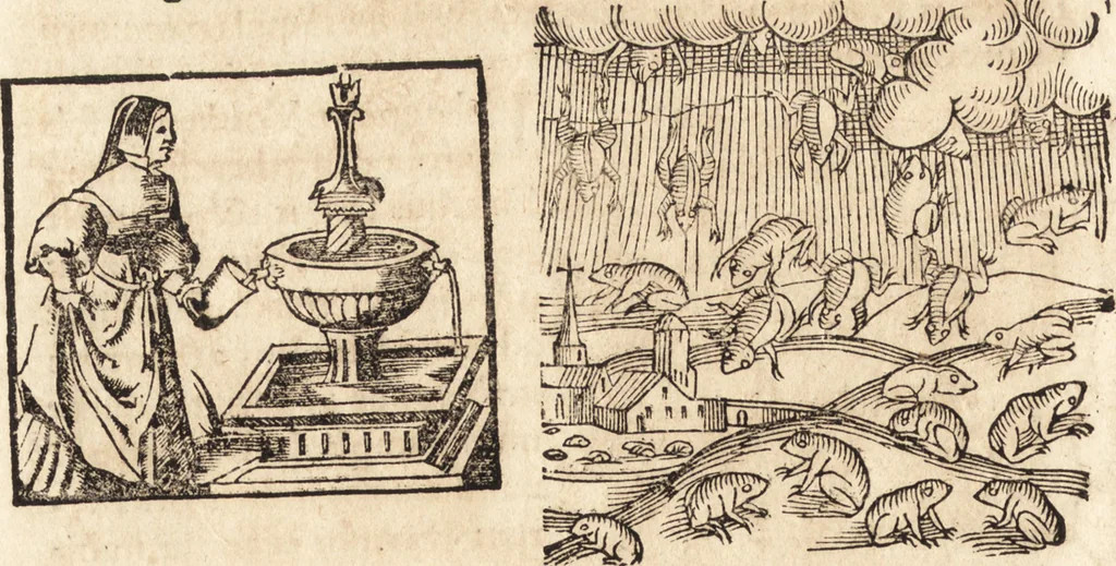 An illustration from Prodigiorvm ac ostentorvm chronicon : quae praeter naturae ordinem, motum, et operationem, et in svperioribus & his inferioribus mundi regionibus, ab exordio mundi usque ad haec nostra tempora, acciderunt ..., 1557, leaf 615