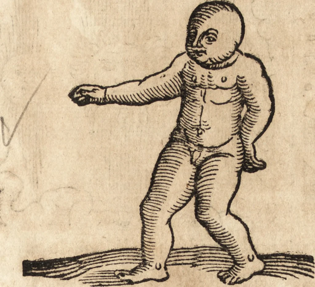 An illustration from Prodigiorvm ac ostentorvm chronicon : quae praeter naturae ordinem, motum, et operationem, et in svperioribus & his inferioribus mundi regionibus, ab exordio mundi usque ad haec nostra tempora, acciderunt ..., 1557, leaf 616