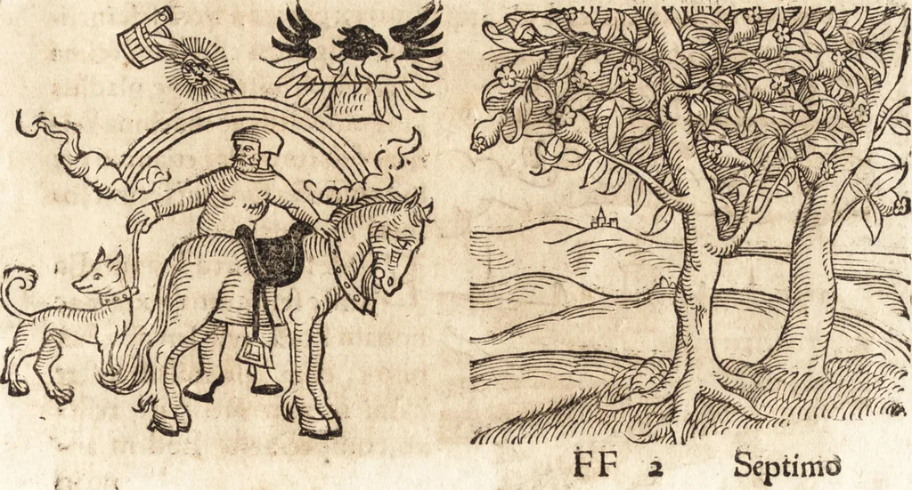 An illustration from Prodigiorvm ac ostentorvm chronicon : quae praeter naturae ordinem, motum, et operationem, et in svperioribus & his inferioribus mundi regionibus, ab exordio mundi usque ad haec nostra tempora, acciderunt ..., 1557, leaf 618