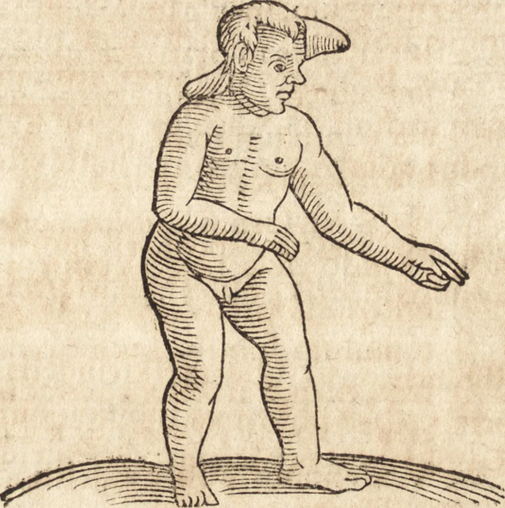 An illustration from Prodigiorvm ac ostentorvm chronicon : quae praeter naturae ordinem, motum, et operationem, et in svperioribus & his inferioribus mundi regionibus, ab exordio mundi usque ad haec nostra tempora, acciderunt ..., 1557, leaf 621