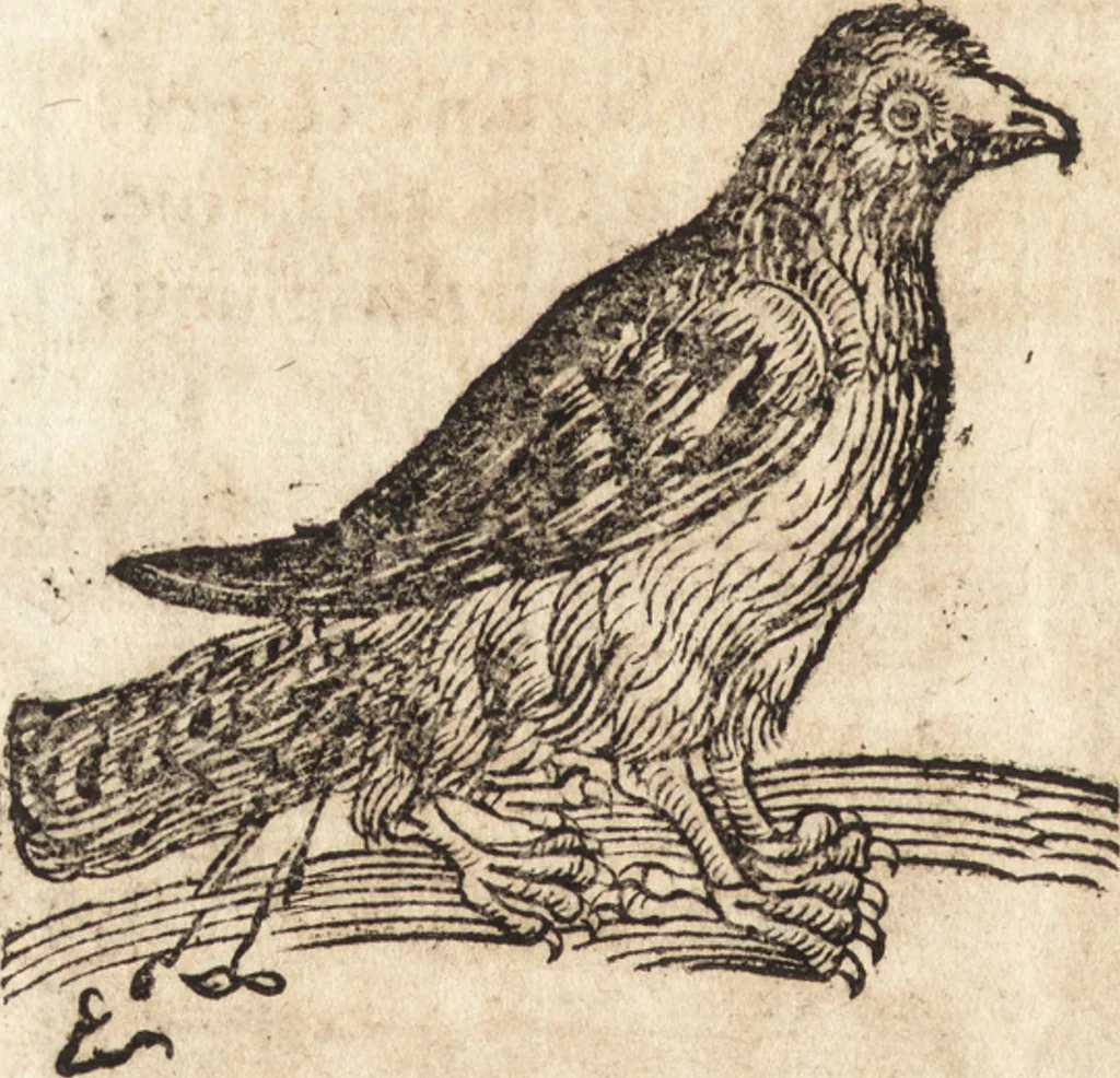 An illustration from Prodigiorvm ac ostentorvm chronicon : quae praeter naturae ordinem, motum, et operationem, et in svperioribus & his inferioribus mundi regionibus, ab exordio mundi usque ad haec nostra tempora, acciderunt ..., 1557, leaf 621