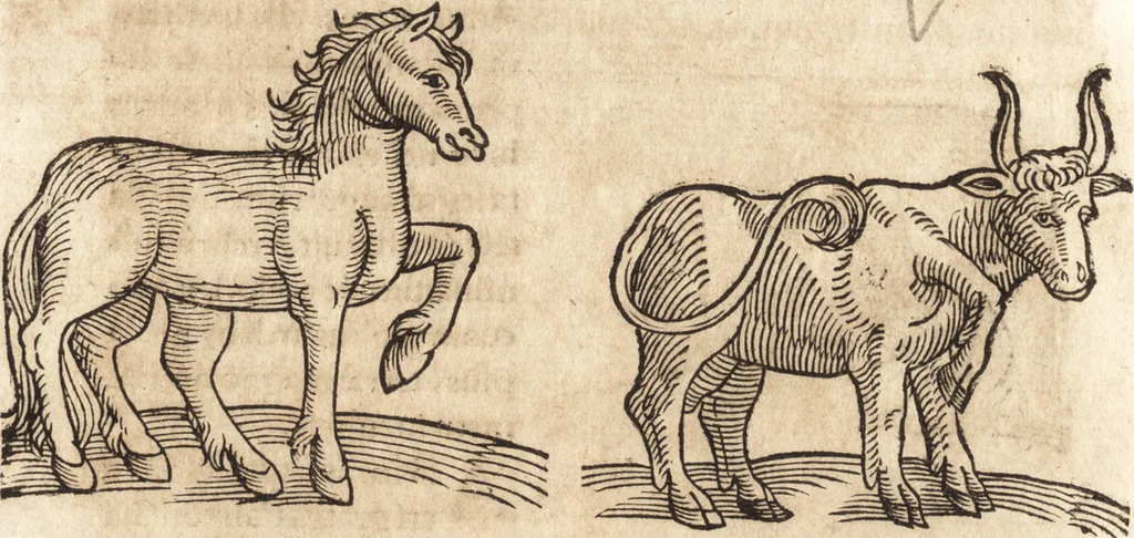 An illustration from Prodigiorvm ac ostentorvm chronicon : quae praeter naturae ordinem, motum, et operationem, et in svperioribus & his inferioribus mundi regionibus, ab exordio mundi usque ad haec nostra tempora, acciderunt ..., 1557, leaf 629
