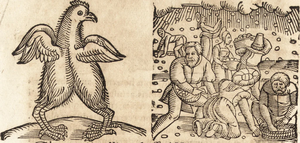 An illustration from Prodigiorvm ac ostentorvm chronicon : quae praeter naturae ordinem, motum, et operationem, et in svperioribus & his inferioribus mundi regionibus, ab exordio mundi usque ad haec nostra tempora, acciderunt ..., 1557, leaf 629