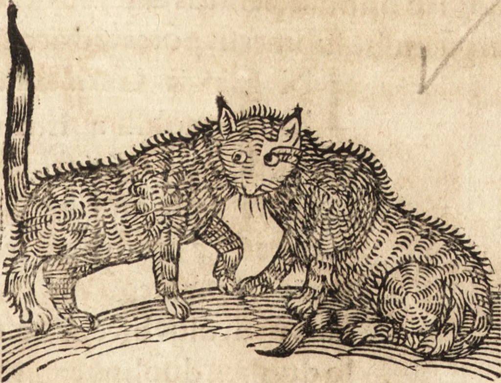 An illustration from Prodigiorvm ac ostentorvm chronicon : quae praeter naturae ordinem, motum, et operationem, et in svperioribus & his inferioribus mundi regionibus, ab exordio mundi usque ad haec nostra tempora, acciderunt ..., 1557, leaf 630