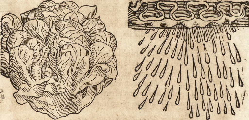 An illustration from Prodigiorvm ac ostentorvm chronicon : quae praeter naturae ordinem, motum, et operationem, et in svperioribus & his inferioribus mundi regionibus, ab exordio mundi usque ad haec nostra tempora, acciderunt ..., 1557, leaf 638