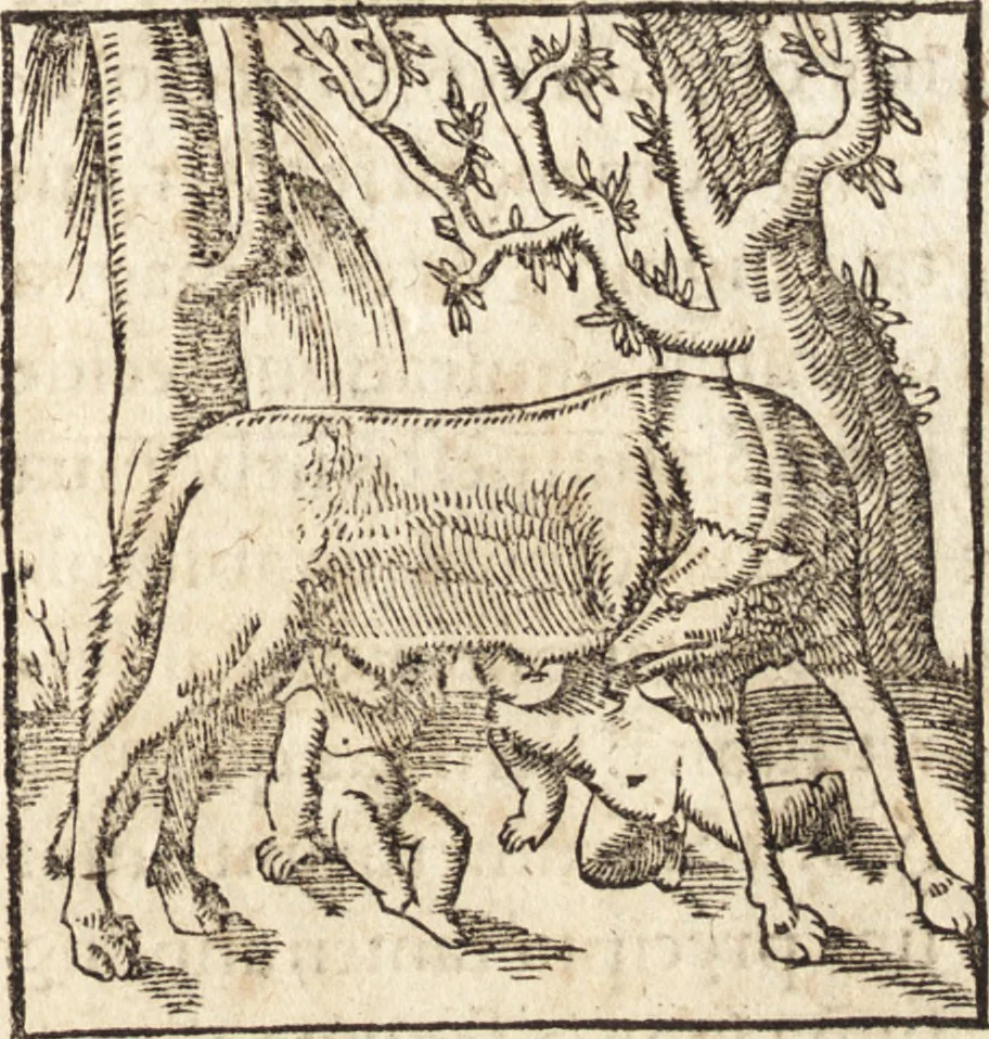 An illustration from Prodigiorvm ac ostentorvm chronicon : quae praeter naturae ordinem, motum, et operationem, et in svperioribus & his inferioribus mundi regionibus, ab exordio mundi usque ad haec nostra tempora, acciderunt ..., 1557, leaf 64