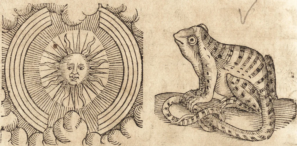 An illustration from Prodigiorvm ac ostentorvm chronicon : quae praeter naturae ordinem, motum, et operationem, et in svperioribus & his inferioribus mundi regionibus, ab exordio mundi usque ad haec nostra tempora, acciderunt ..., 1557, leaf 641