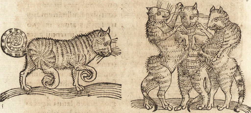 An illustration from Prodigiorvm ac ostentorvm chronicon : quae praeter naturae ordinem, motum, et operationem, et in svperioribus & his inferioribus mundi regionibus, ab exordio mundi usque ad haec nostra tempora, acciderunt ..., 1557, leaf 651