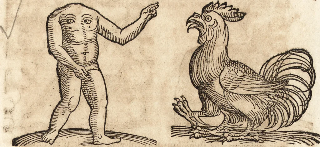 An illustration from Prodigiorvm ac ostentorvm chronicon : quae praeter naturae ordinem, motum, et operationem, et in svperioribus & his inferioribus mundi regionibus, ab exordio mundi usque ad haec nostra tempora, acciderunt ..., 1557, leaf 656