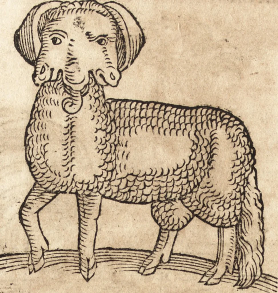 An illustration from Prodigiorvm ac ostentorvm chronicon : quae praeter naturae ordinem, motum, et operationem, et in svperioribus & his inferioribus mundi regionibus, ab exordio mundi usque ad haec nostra tempora, acciderunt ..., 1557, leaf 657