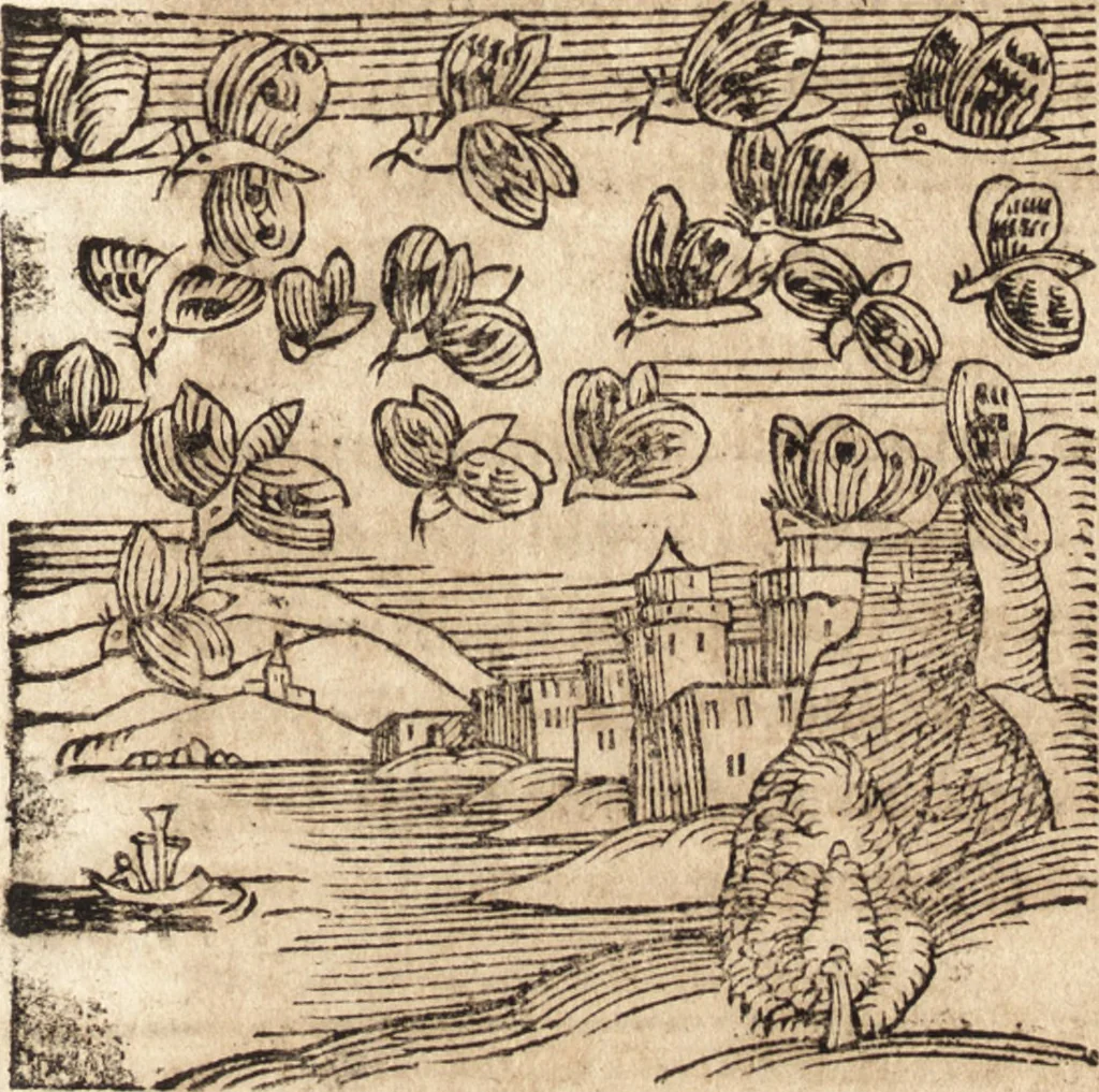 An illustration from Prodigiorvm ac ostentorvm chronicon : quae praeter naturae ordinem, motum, et operationem, et in svperioribus & his inferioribus mundi regionibus, ab exordio mundi usque ad haec nostra tempora, acciderunt ..., 1557, leaf 658