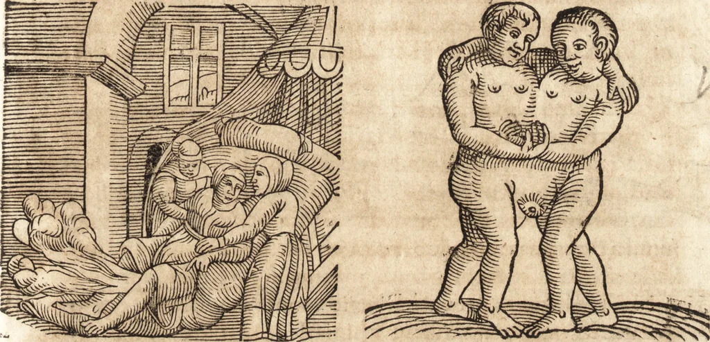 An illustration from Prodigiorvm ac ostentorvm chronicon : quae praeter naturae ordinem, motum, et operationem, et in svperioribus & his inferioribus mundi regionibus, ab exordio mundi usque ad haec nostra tempora, acciderunt ..., 1557, leaf 660