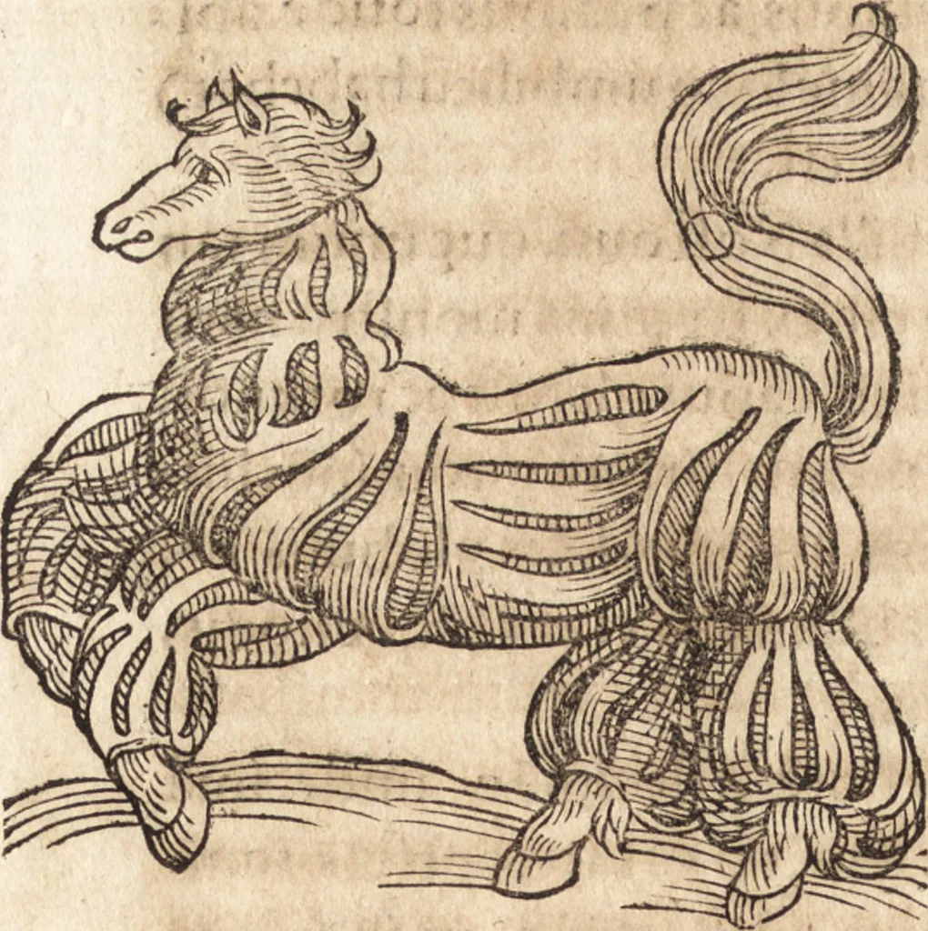 An illustration from Prodigiorvm ac ostentorvm chronicon : quae praeter naturae ordinem, motum, et operationem, et in svperioribus & his inferioribus mundi regionibus, ab exordio mundi usque ad haec nostra tempora, acciderunt ..., 1557, leaf 661