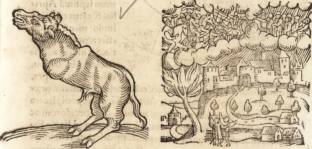 An illustration from Prodigiorvm ac ostentorvm chronicon : quae praeter naturae ordinem, motum, et operationem, et in svperioribus & his inferioribus mundi regionibus, ab exordio mundi usque ad haec nostra tempora, acciderunt ..., 1557, leaf 664