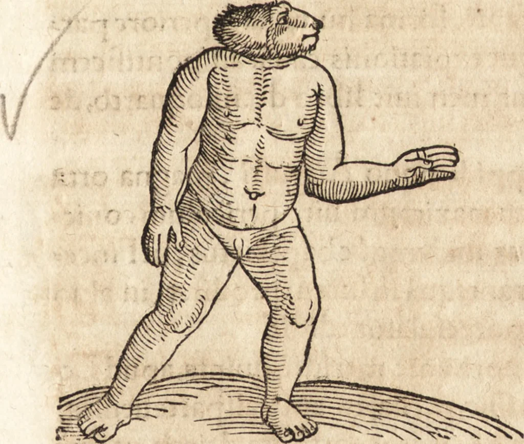 An illustration from Prodigiorvm ac ostentorvm chronicon : quae praeter naturae ordinem, motum, et operationem, et in svperioribus & his inferioribus mundi regionibus, ab exordio mundi usque ad haec nostra tempora, acciderunt ..., 1557, leaf 666