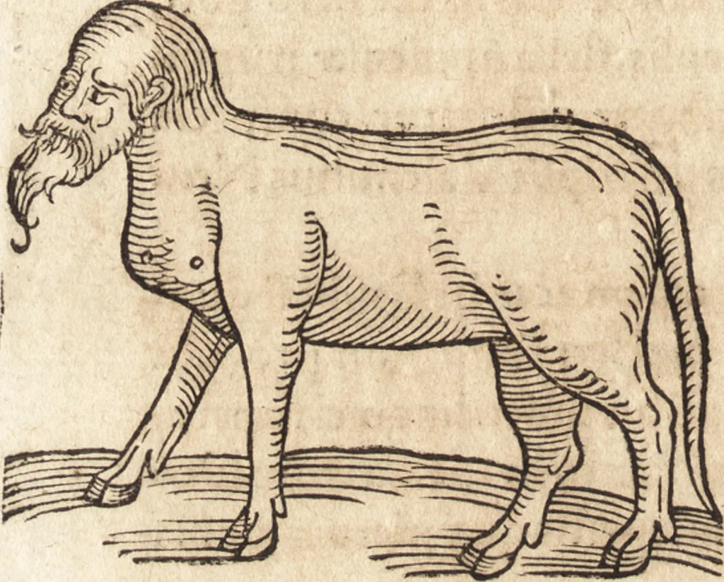 An illustration from Prodigiorvm ac ostentorvm chronicon : quae praeter naturae ordinem, motum, et operationem, et in svperioribus & his inferioribus mundi regionibus, ab exordio mundi usque ad haec nostra tempora, acciderunt ..., 1557, leaf 667