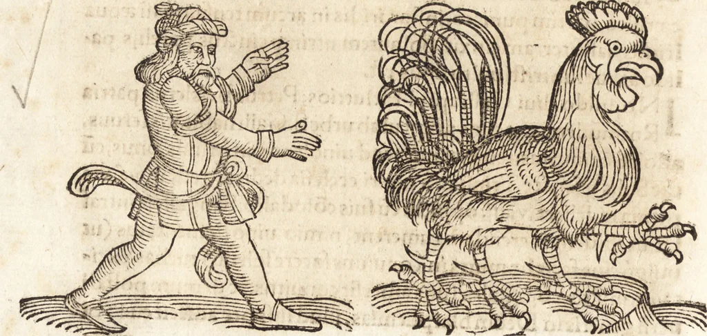 An illustration from Prodigiorvm ac ostentorvm chronicon : quae praeter naturae ordinem, motum, et operationem, et in svperioribus & his inferioribus mundi regionibus, ab exordio mundi usque ad haec nostra tempora, acciderunt ..., 1557, leaf 671
